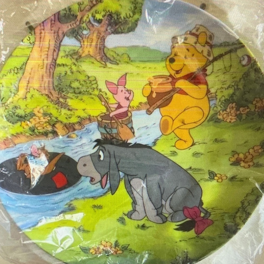 Disney Pooh limited Edition Bradford exchange plate GONE FISHING COLLECTOR PLATE